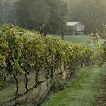 Paradise Springs Winery