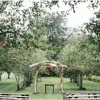 The Ceremony will take place in this beautiful apple orchard