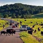 Custer State Park