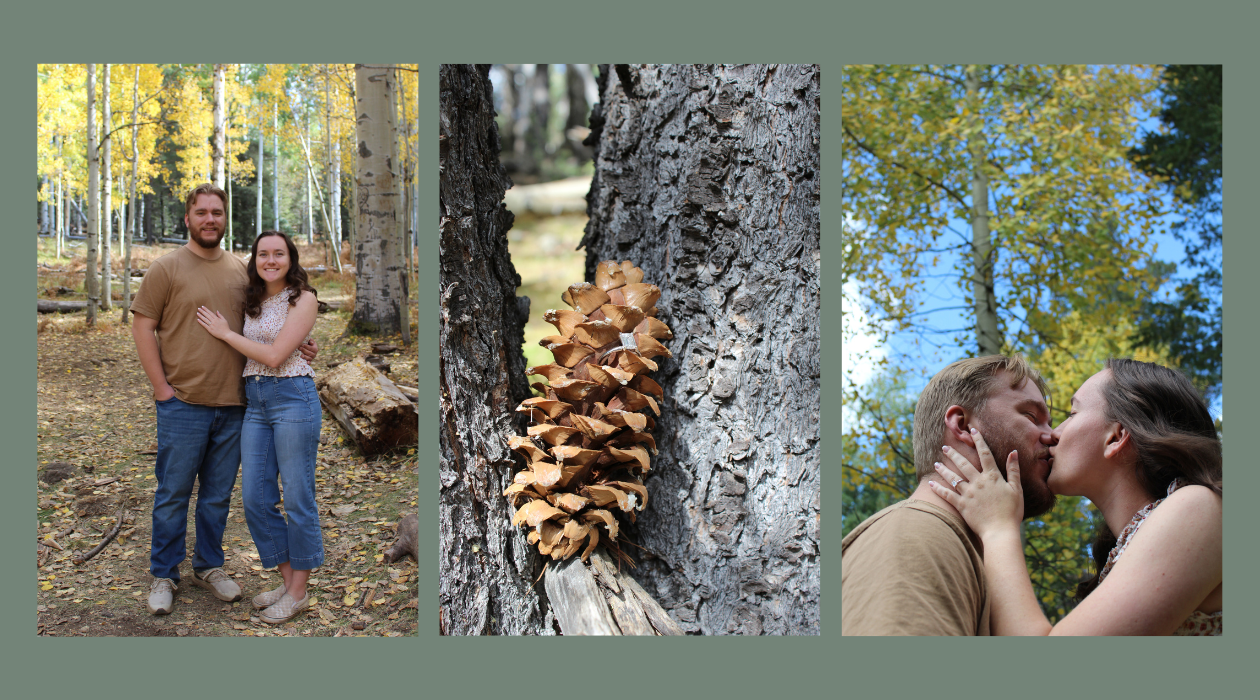 The Wedding Website of Meghan Hayes and Tanner Rockwood