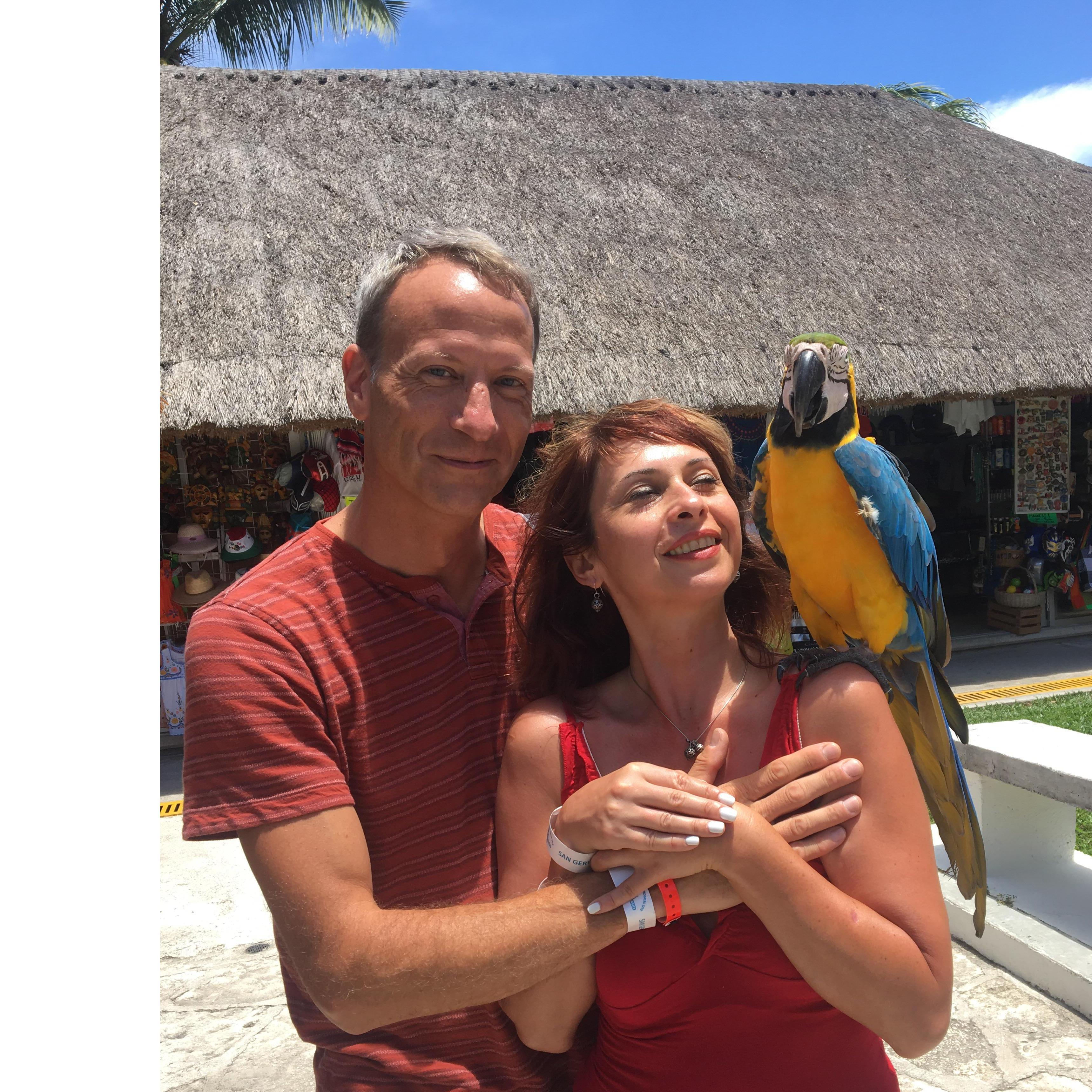 We almost added a large bird to our family, but she would not have been happy in Chicago.