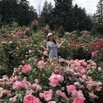 International Rose Test Garden