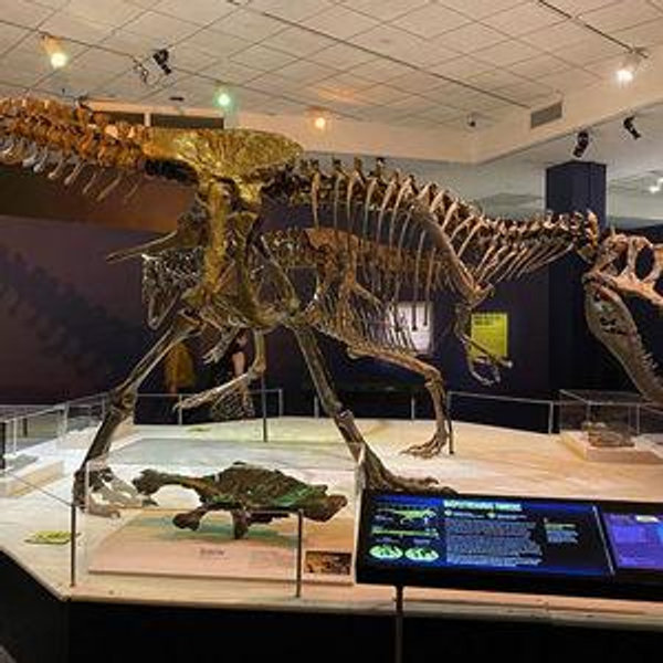 Fernbank Annual Membership for Two