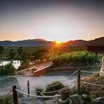 Monte Xanic Vineyard
