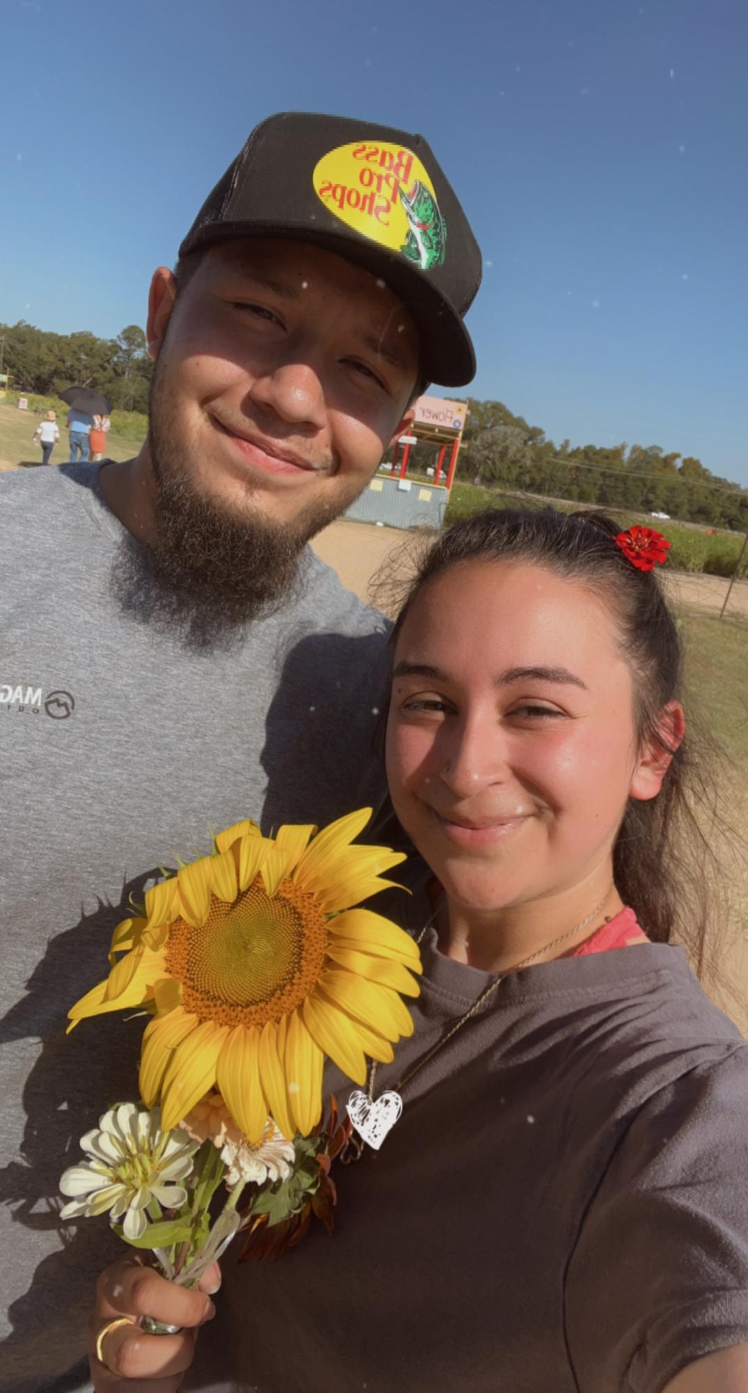 Sunflower picking!