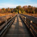 Binghamton University Nature Preserve