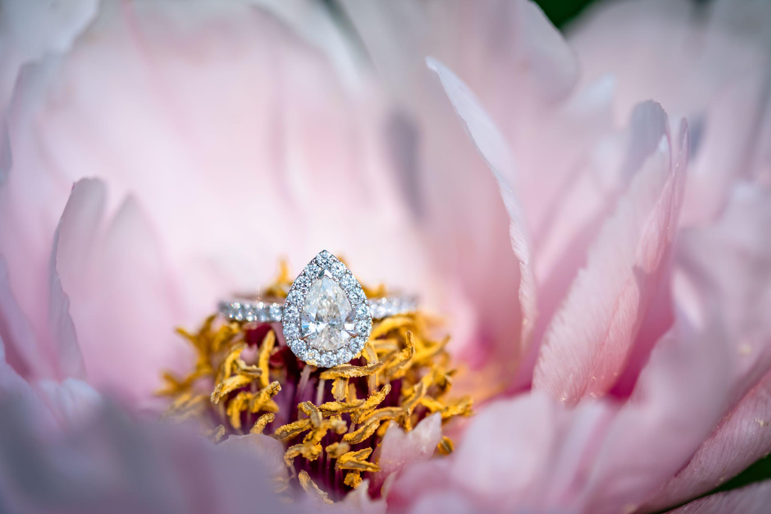 The Wedding Website of Thomas Hall and Victoria Munoz