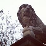 Baltimore Museum of Art