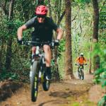 Mountain Bikes