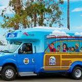 The Beach Bus