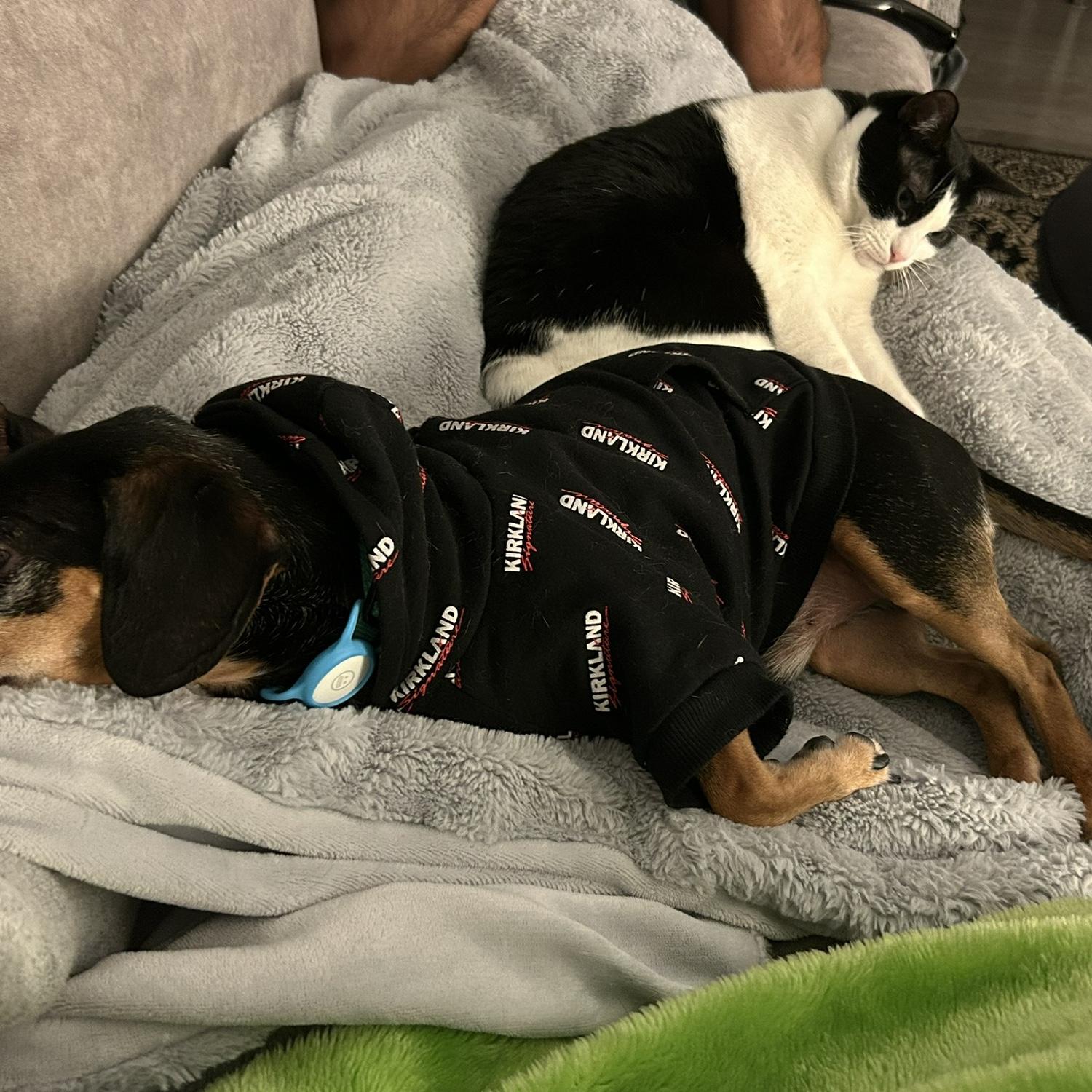 The princess and the pea