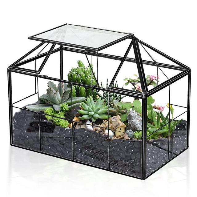 Ferrisland Air Plant Terrarium Glass – House Succulent Glass Terrarium Large Geometric Planter w/Lip for Succulent Fern Air Plant Tabletop DIY Gift - Miniature Greenhouse Wedding Card Container