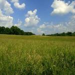 Heritage Community Park and Natural Area