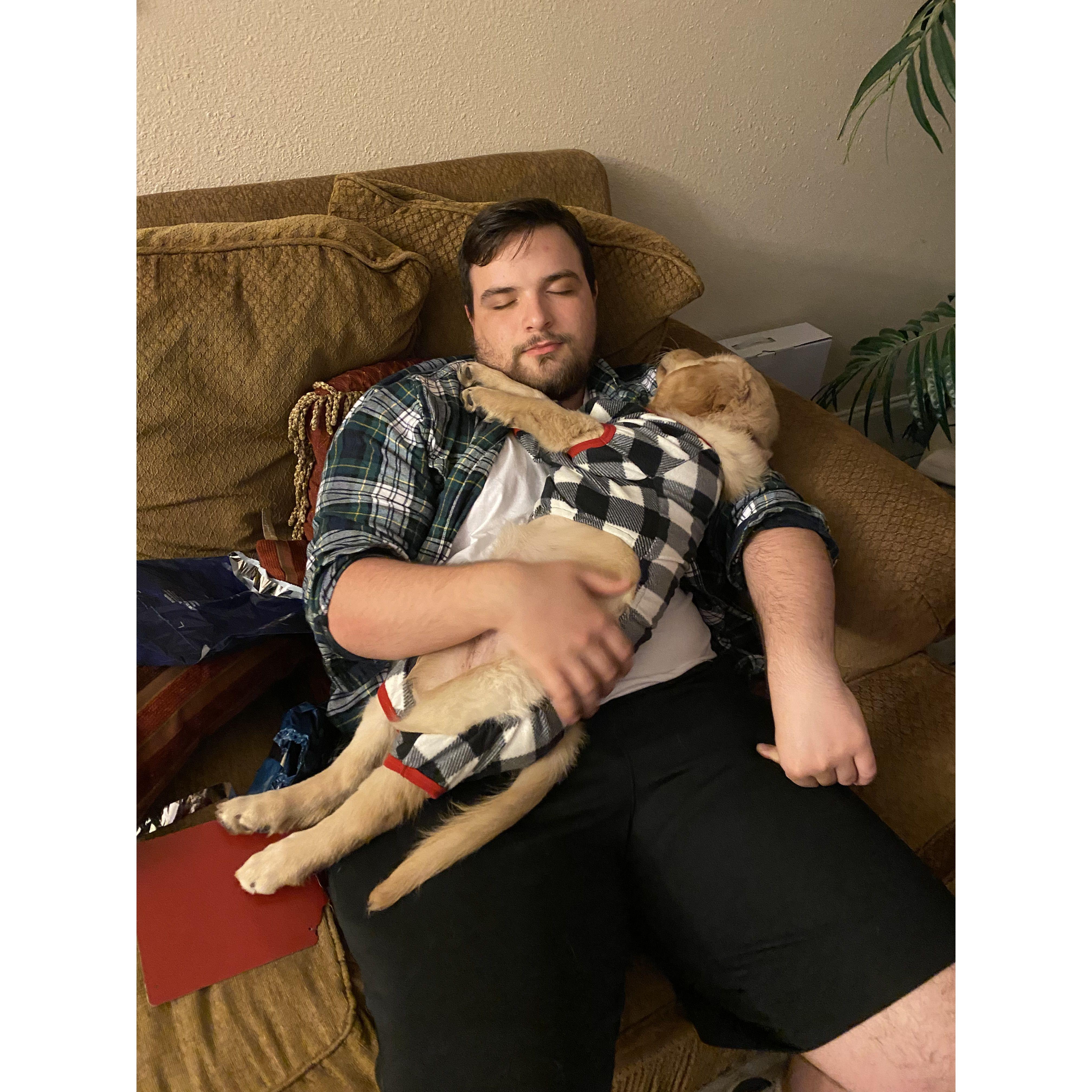 Someone couldn't stay up all night to wait for Santa Paws