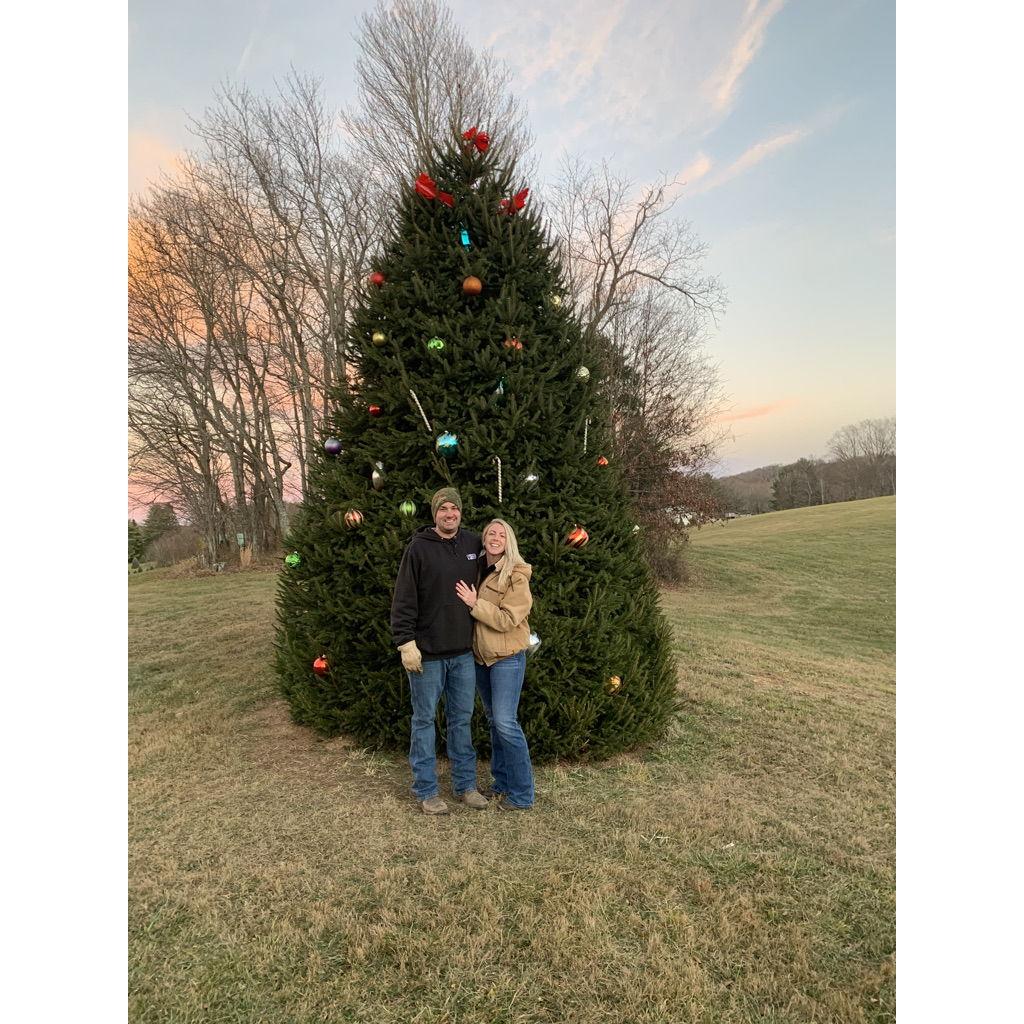 Picking our tree for Christmas 2022