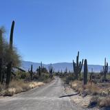 Sabino Canyon Recreation Area