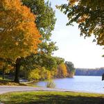 Marsh Creek State Park