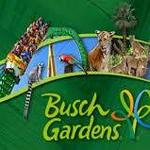 Busch Gardens Tampa Bay