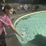 SeaWorld San Diego