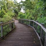 Oakland Nature Preserve