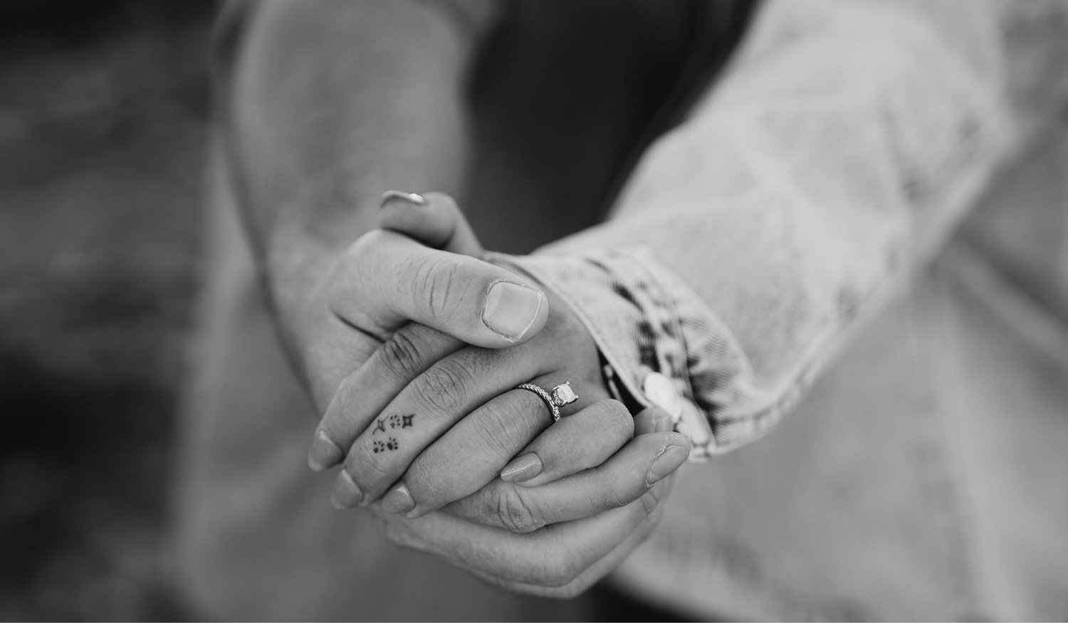 Footer image