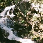LewisCreek Trail