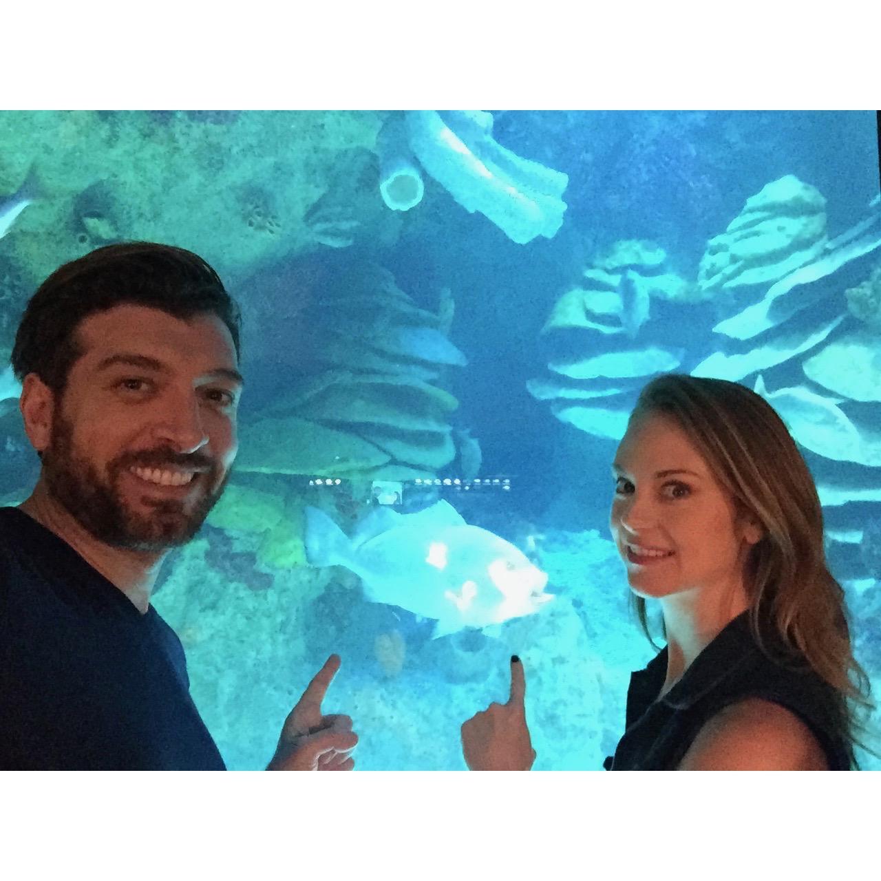 Boston Aquarium