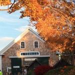 Russell Orchards