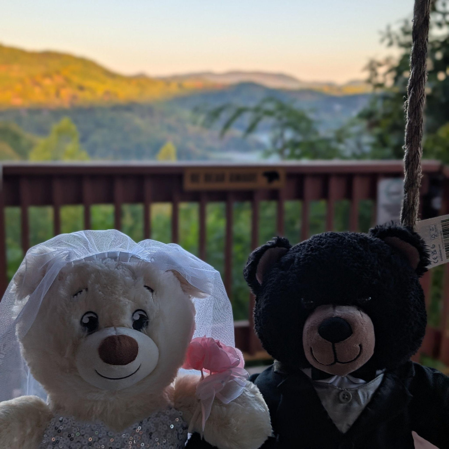 Our Cabin trip when he popped the question