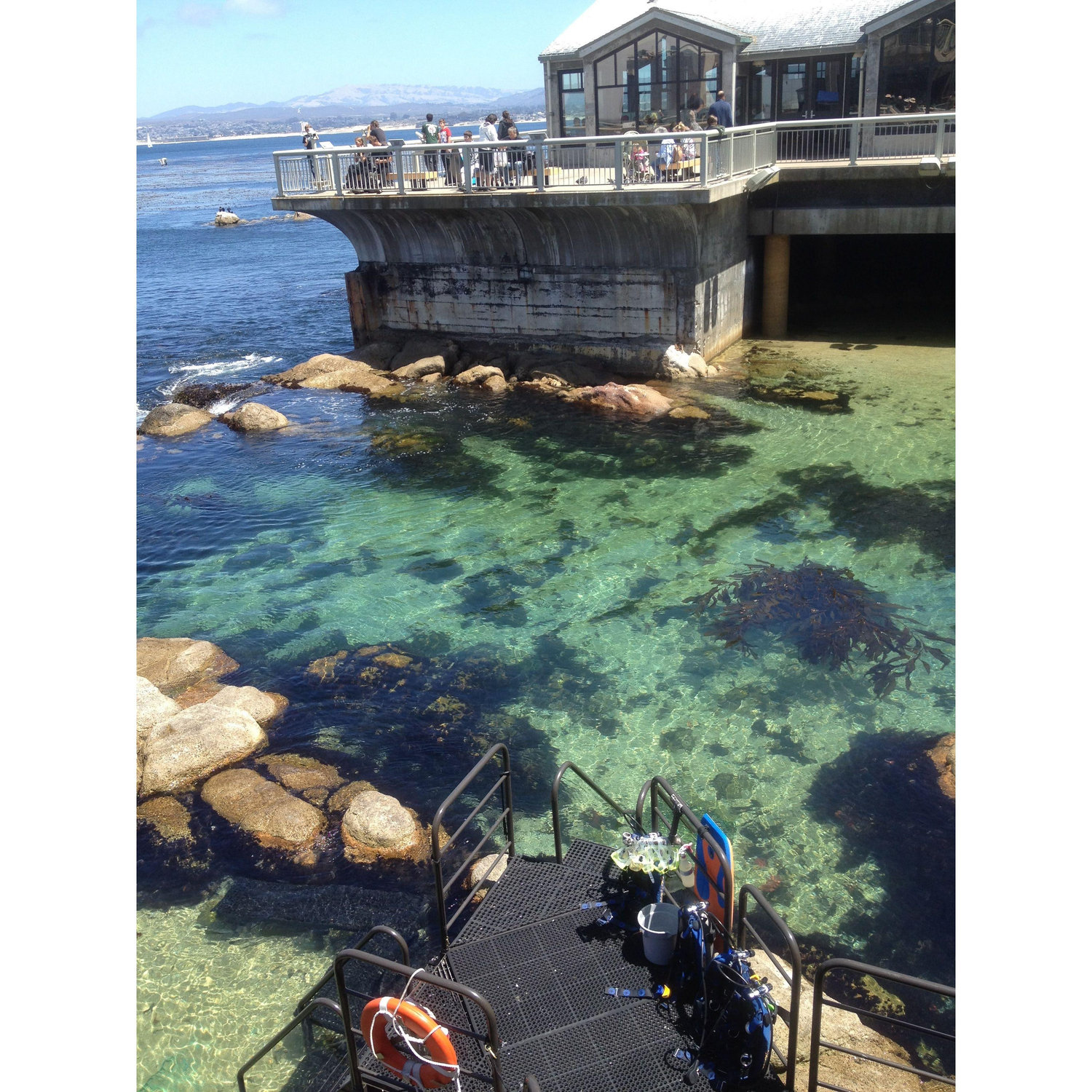 Monterey Bay Aquarium