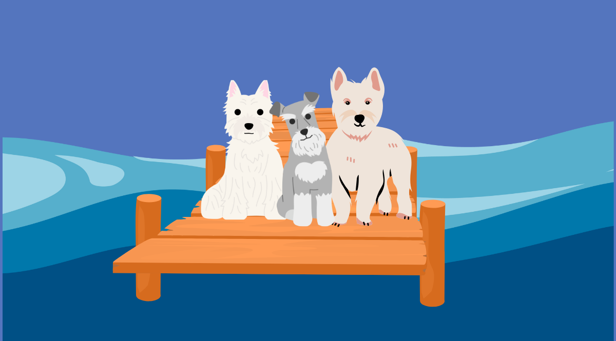 The Wedding Website of Helena Curtis and Steven Thompson