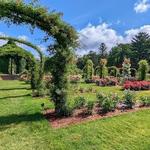 Elizabeth Park Rose Garden