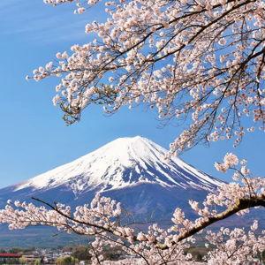 Our Japan Honeymoon Fund