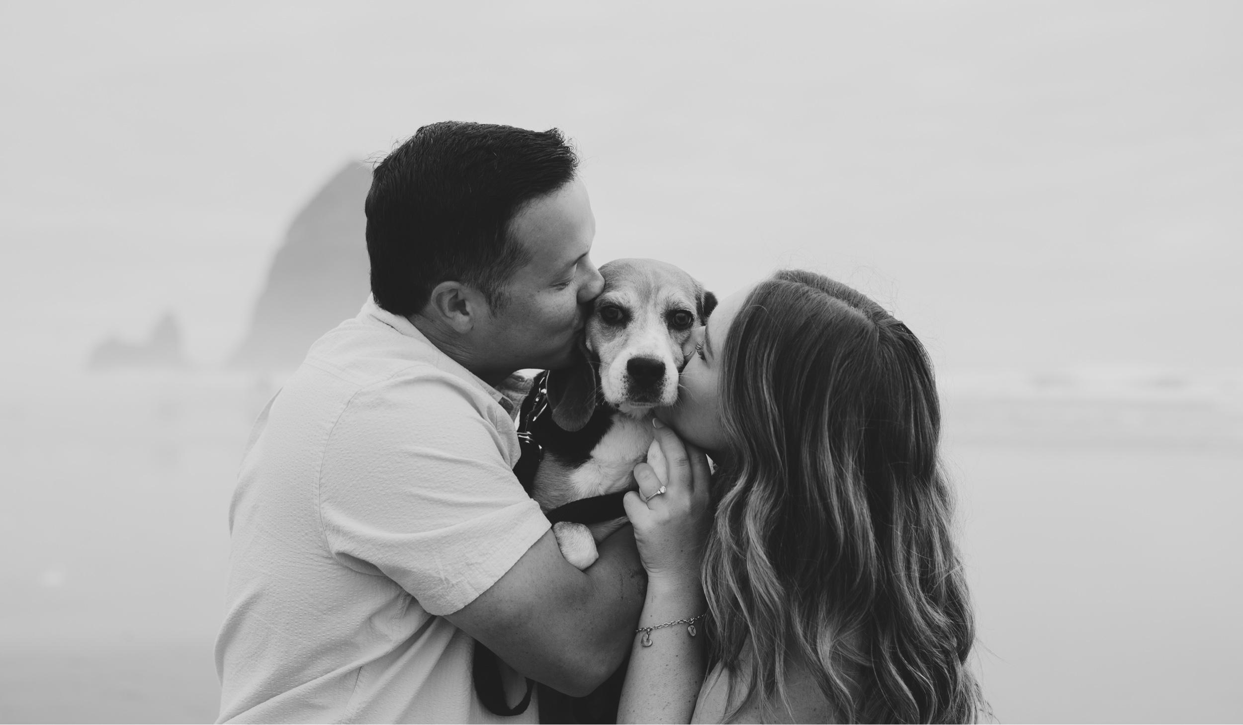 9f55b252-dbfc-4eb9-a35d-af02474146d3