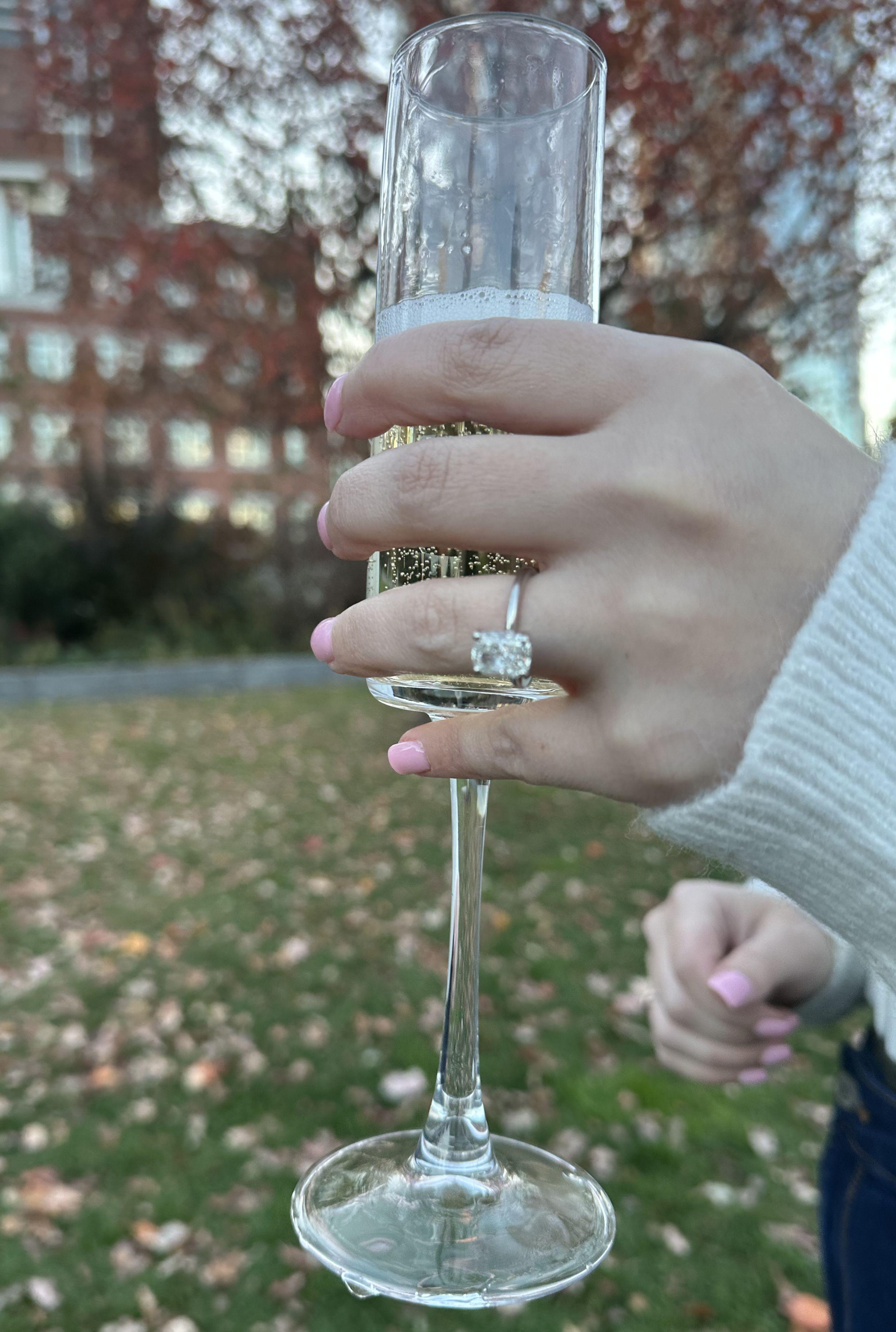 The Wedding Website of Nick Bertoni and Taylor Bucchanio