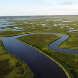 Blackwater National Wildlife Refuge Visitor Center