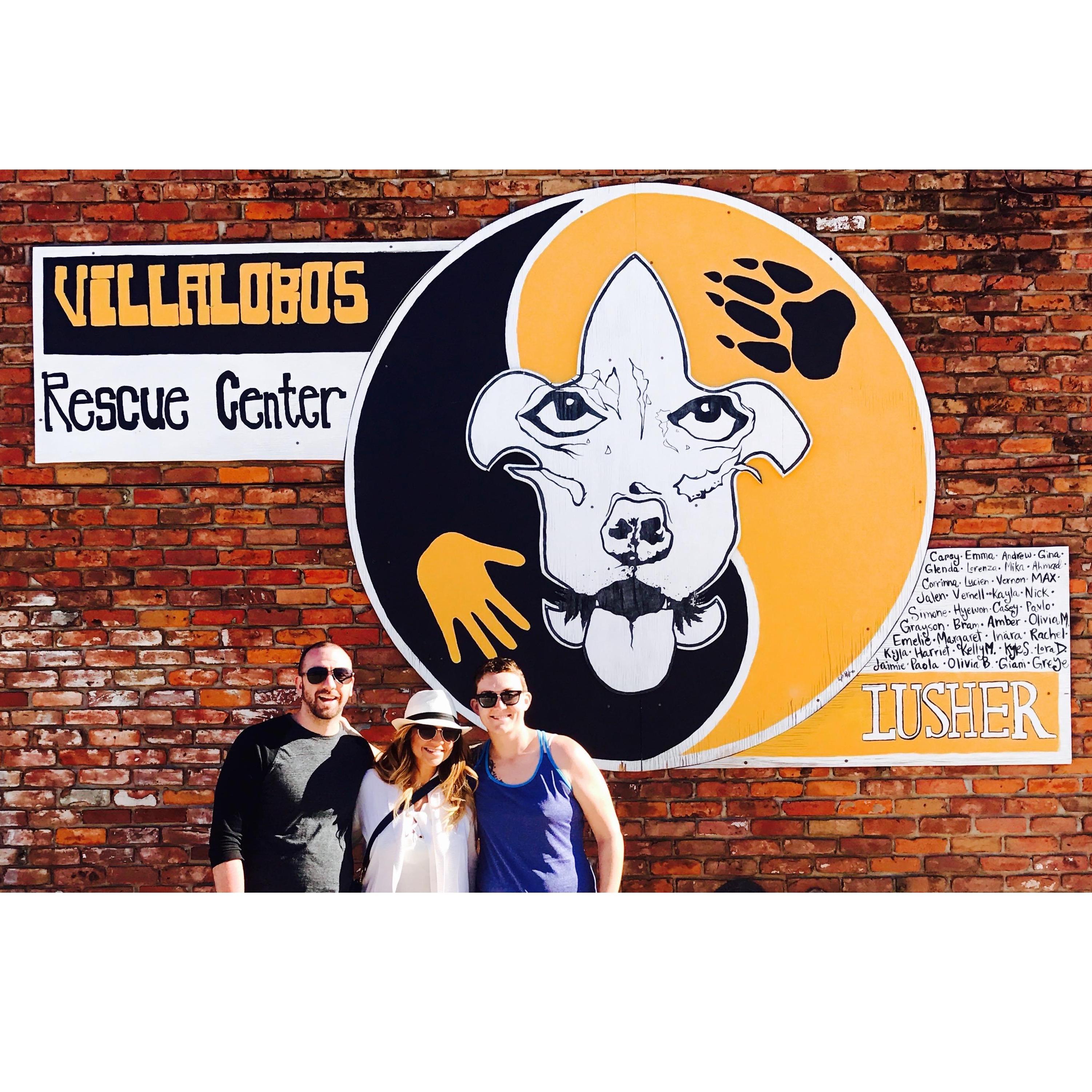 While in New Orleans I arranged for us to walk the dogs at Villalobos rescue center.