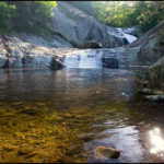 Wilson Creek