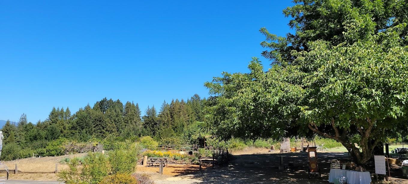 The Wedding Website of Greg Shannon and Kristine Le