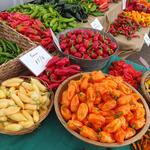 Boulder Farmers Market
