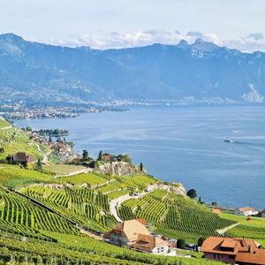 Wine Tasting on Lake Geneva