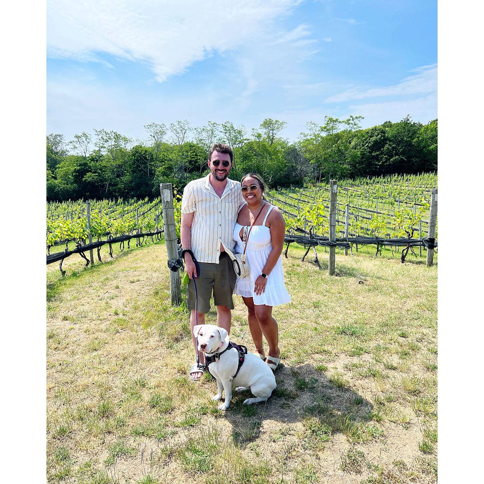 @ Truro Vineyards in North Truro, MA