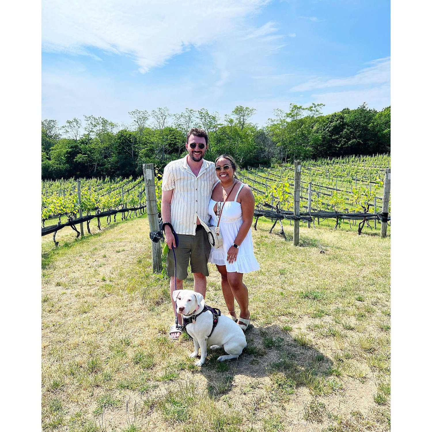 @ Truro Vineyards in North Truro, MA