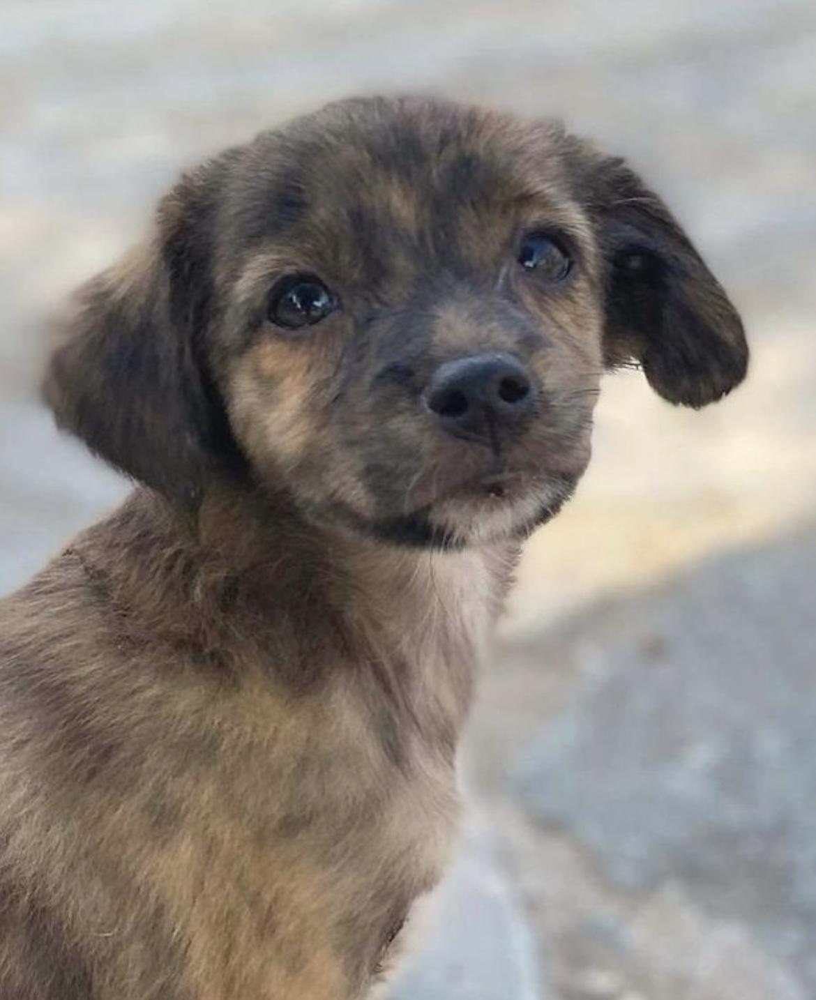 The Wedding Website of Emmanuela V and Killian P