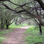 Hiking and Walking Trails