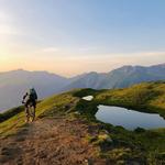 Mountain Bike Trails