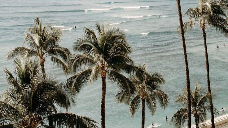 The Wedding Website of Gracie McKinnon and Brody Malone