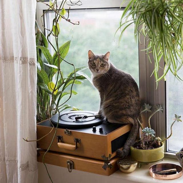 Crosley X UO Keepsake Wood Portable USB Vinyl Record Player