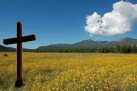 The Wedding Website of Laurel Sudduth and John Yacuta