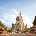 Walt Disney World/Universal Studios